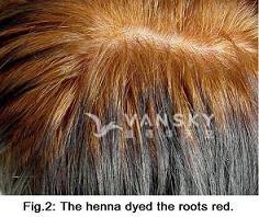 230228154511_Hair-Dying with henna-s.jpg